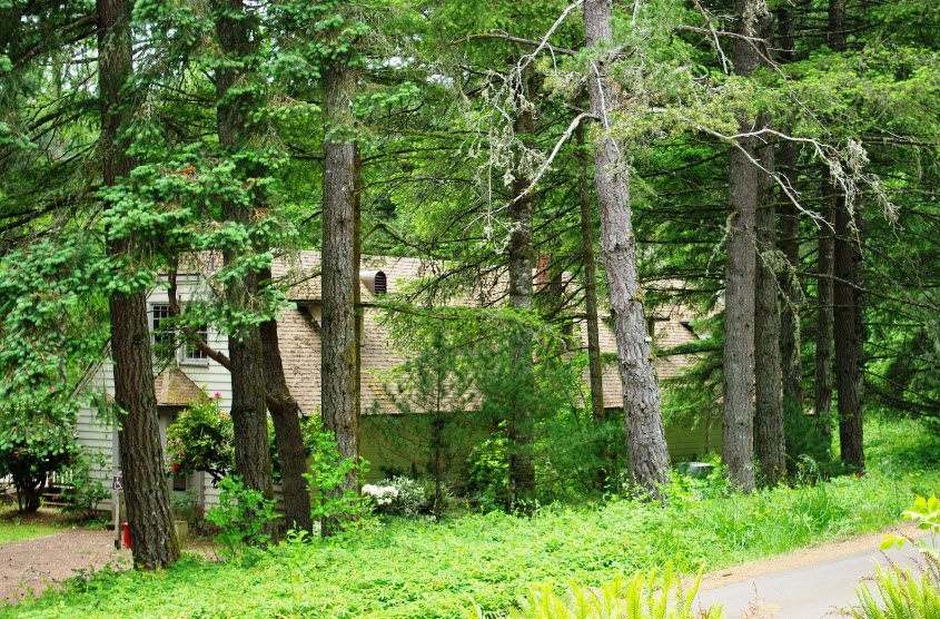 Peavy Arboretum, United States
